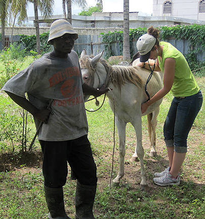 veterinary technology student in Haiti
