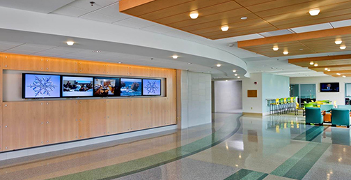 Physical and Health Sciences lobby