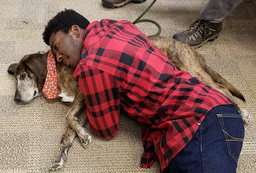male student laying on top of a dog on the floor