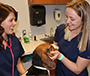 two female vet students in lab with a dog