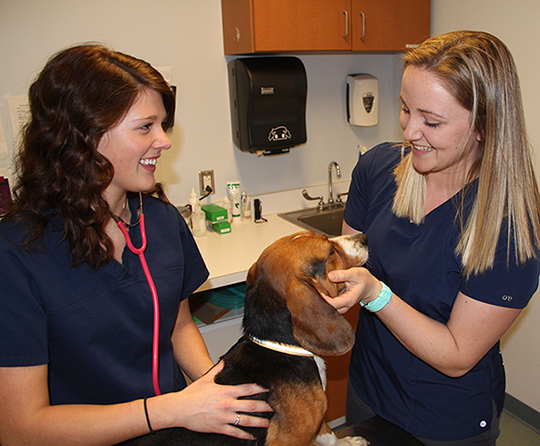two female vet students in lab with a dog